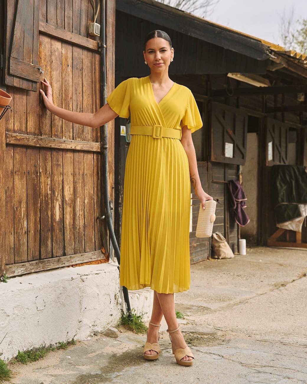 Elodi Pleated Dress