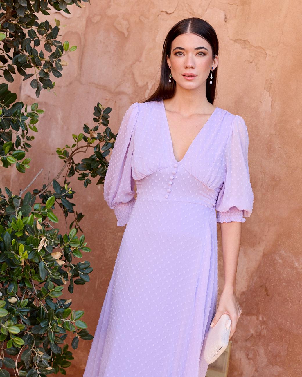 Evarista Neckline Dress