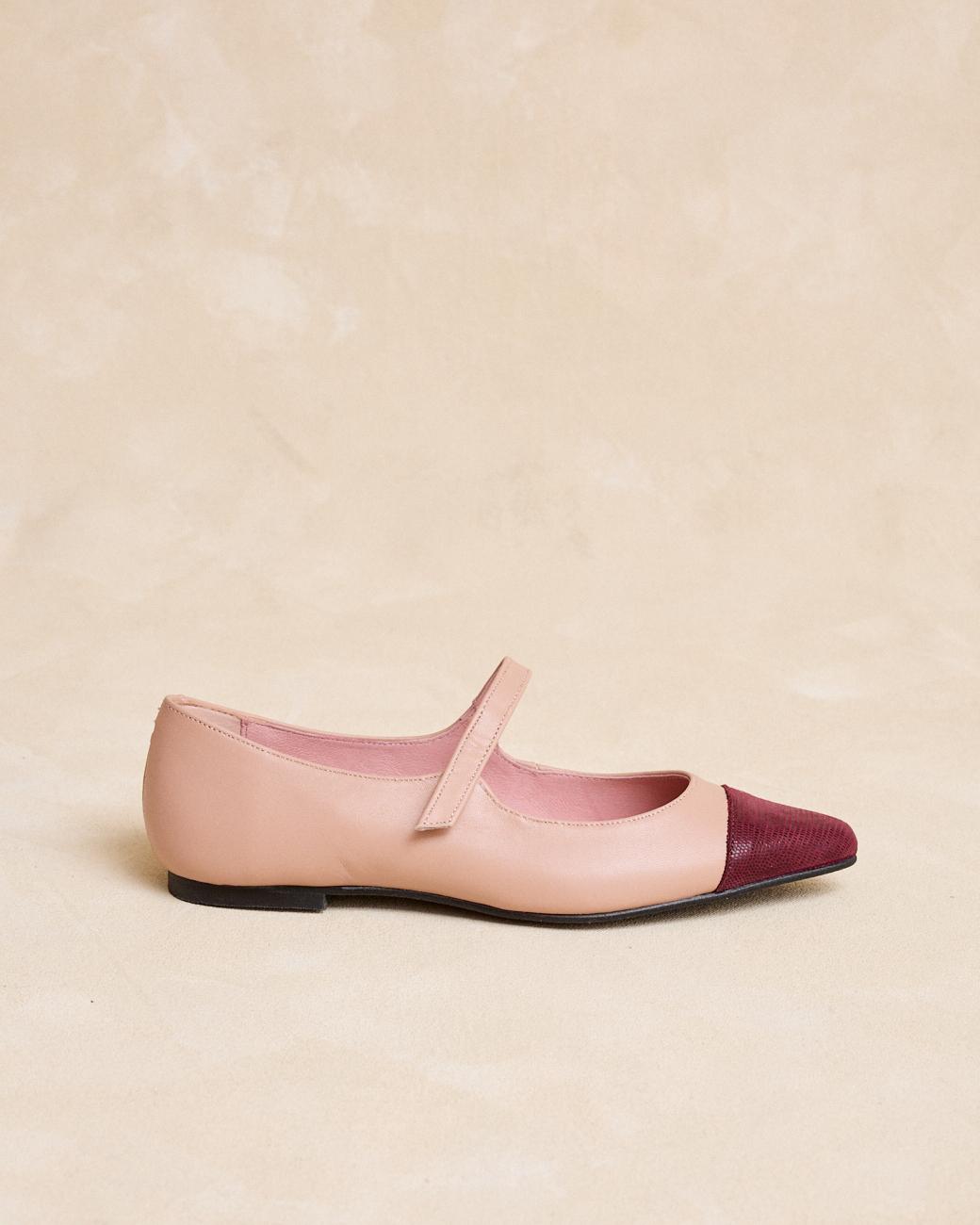 Carine Pointed Ballerina Flats