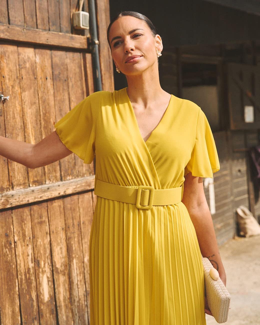 Elodi Pleated Dress