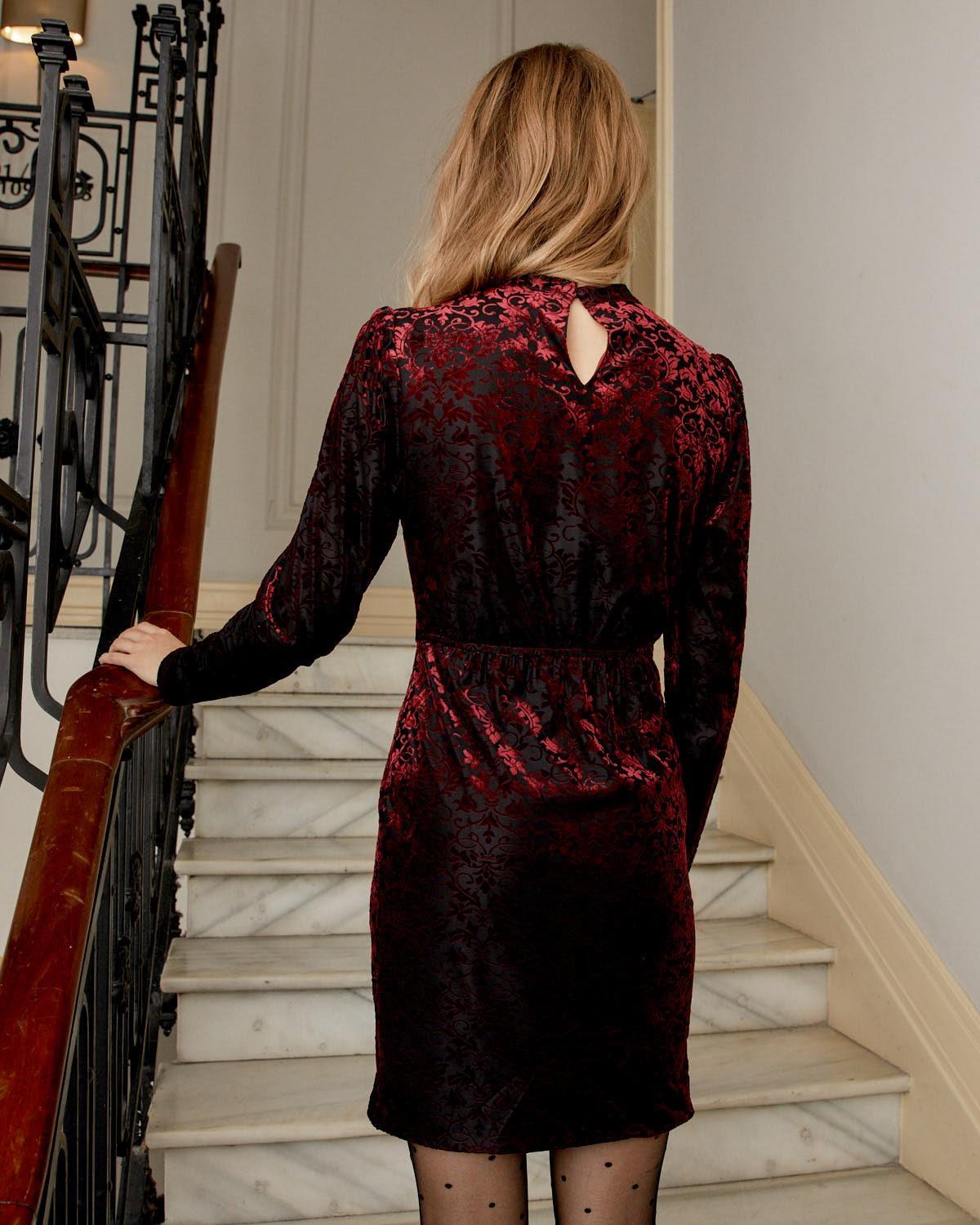 Aivila Velvet Dress